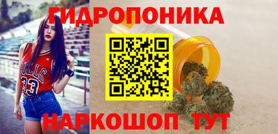 гидропоника Добрянка