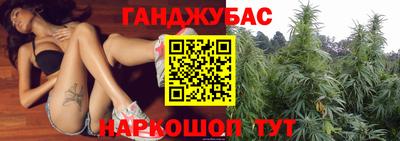 МДПВ Дмитров